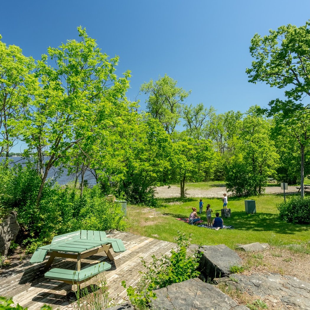Bois-de-L'Île-Bizard Nature Park 2